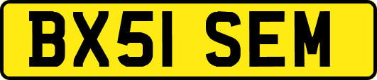 BX51SEM