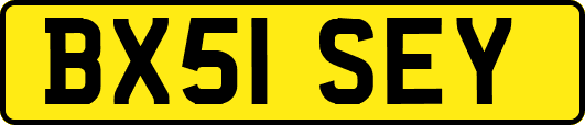 BX51SEY