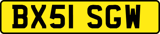 BX51SGW