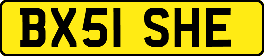 BX51SHE