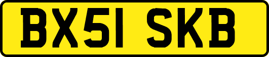 BX51SKB