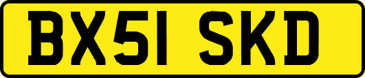 BX51SKD