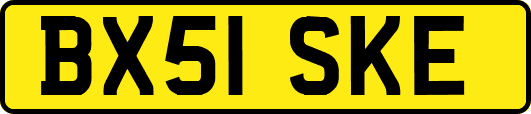 BX51SKE