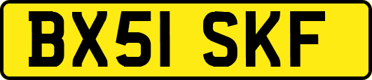 BX51SKF