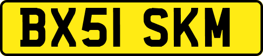 BX51SKM