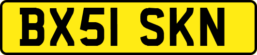 BX51SKN