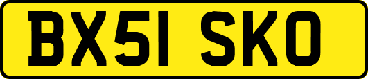 BX51SKO