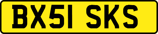 BX51SKS