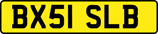 BX51SLB