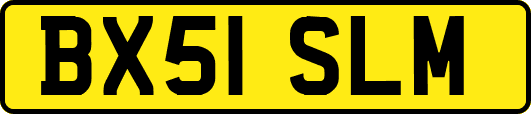 BX51SLM