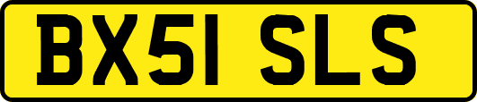 BX51SLS