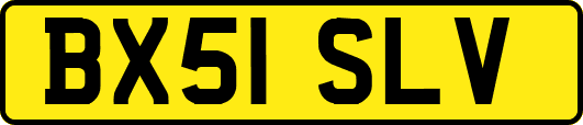 BX51SLV