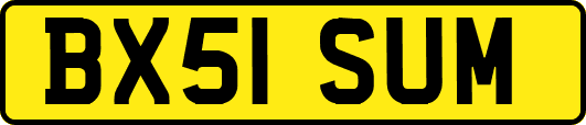 BX51SUM