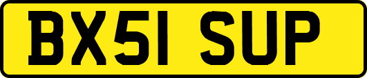 BX51SUP