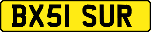 BX51SUR