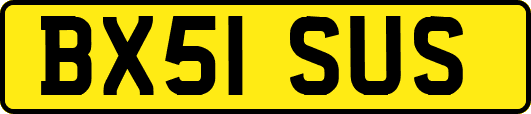 BX51SUS