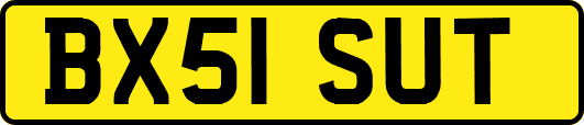 BX51SUT