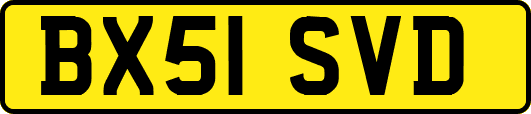 BX51SVD