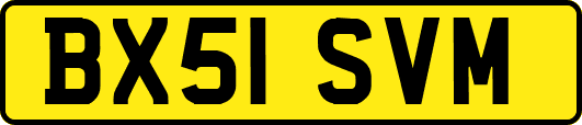 BX51SVM