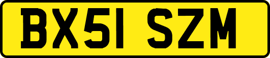 BX51SZM