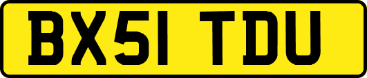 BX51TDU
