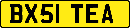 BX51TEA