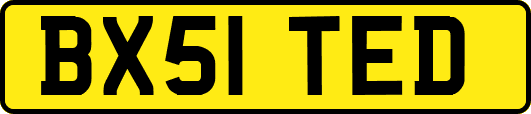BX51TED