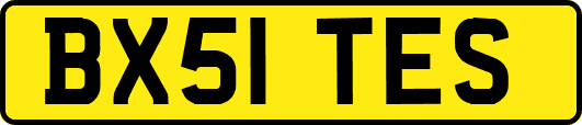 BX51TES