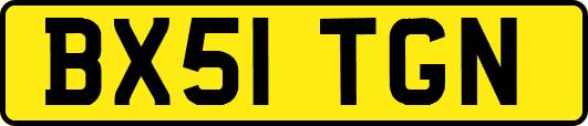 BX51TGN