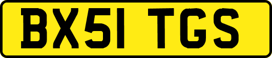 BX51TGS