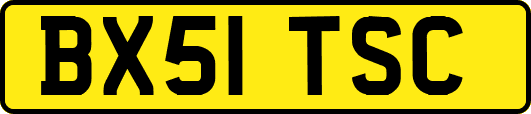 BX51TSC