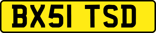 BX51TSD