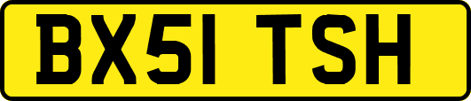 BX51TSH