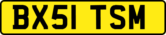 BX51TSM