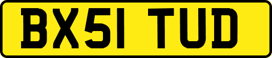 BX51TUD
