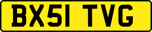 BX51TVG