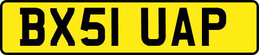 BX51UAP