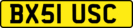 BX51USC