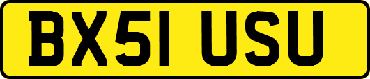 BX51USU