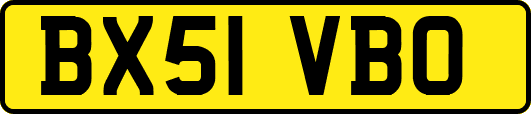 BX51VBO