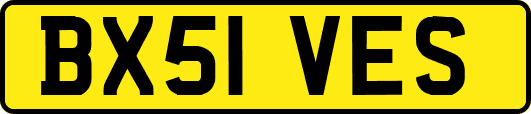 BX51VES