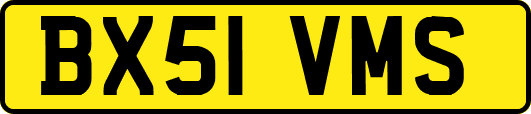 BX51VMS