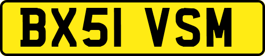 BX51VSM
