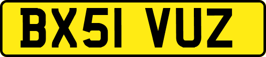 BX51VUZ