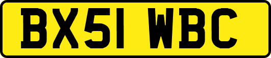 BX51WBC