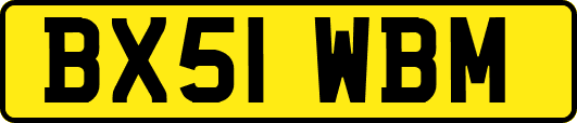 BX51WBM