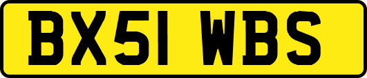 BX51WBS