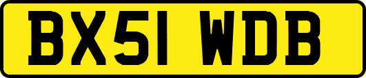 BX51WDB