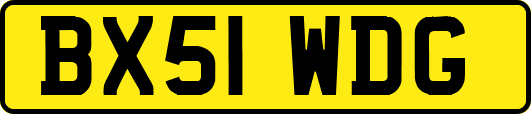 BX51WDG
