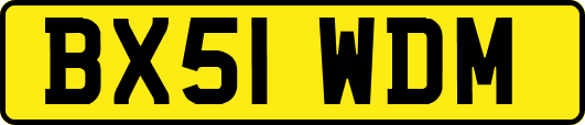 BX51WDM